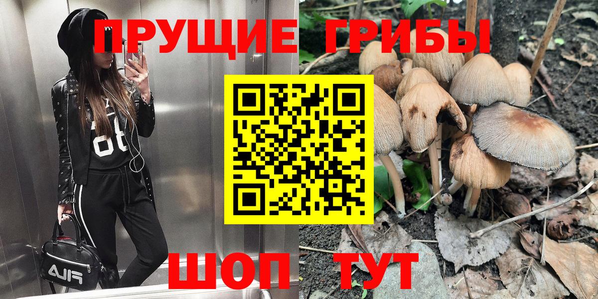 Галлюциногенные грибы мухоморы Великий Новгород