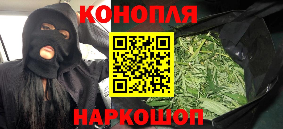 Бошки марихуана MAZAR Великий Новгород